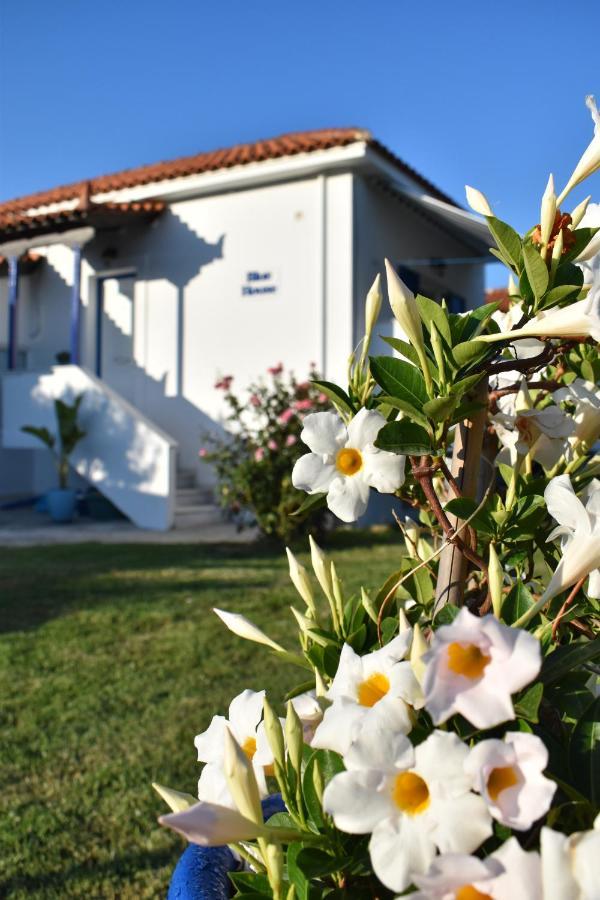Blue Houses Apartments Finikounta Esterno foto